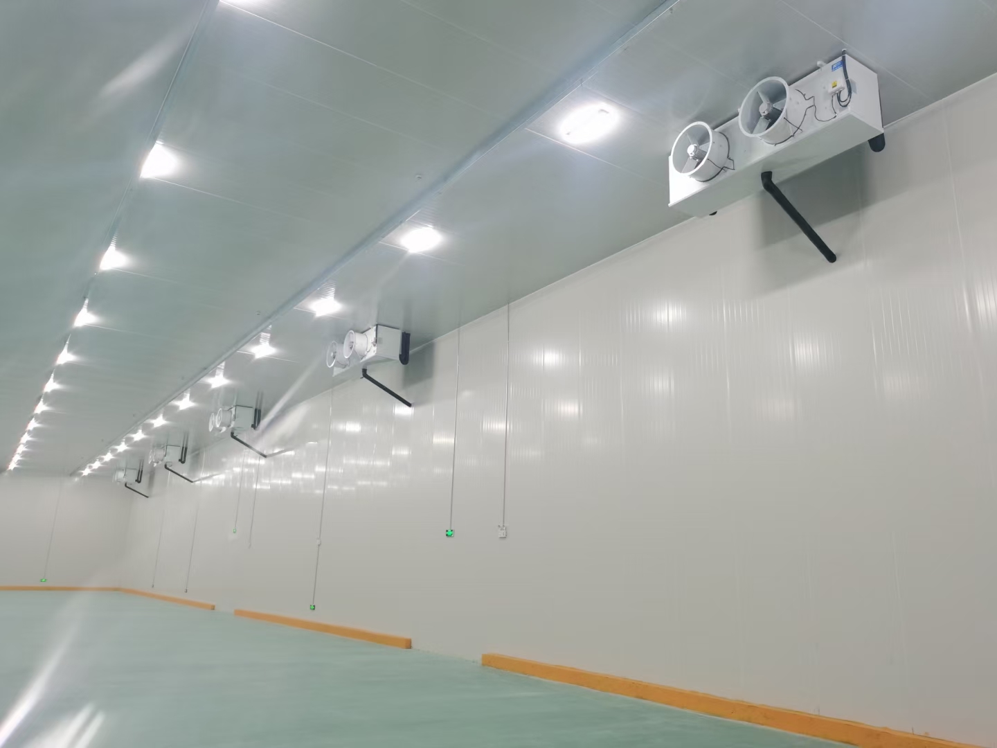 廣州建造500平低溫水產(chǎn)海鮮冷凍庫(kù)安裝價(jià)格 廣州建造500平低溫水產(chǎn)海鮮冷凍庫(kù)安裝價(jià)格