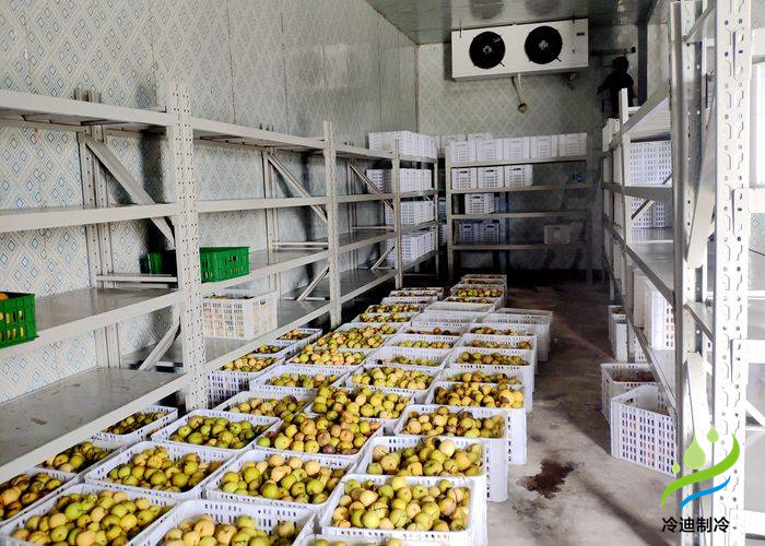 棗子保鮮冷庫(kù)長(zhǎng)期儲(chǔ)存8點(diǎn)方法介紹