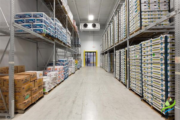 1000平方米冷庫工程造價預(yù)算深度解析