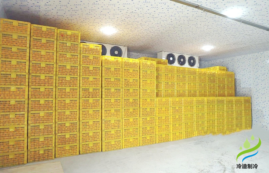 建造一個橙子冷庫需要多少錢？(圖2)