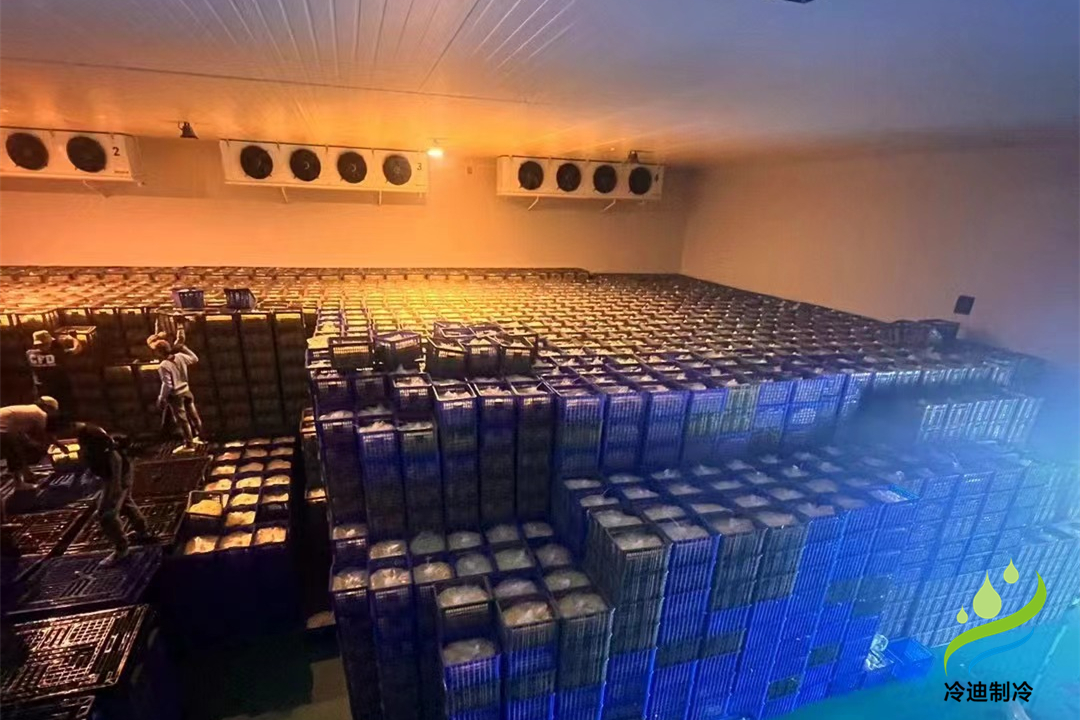 建設(shè)大型冷庫(kù)造價(jià)多少錢一平方米？